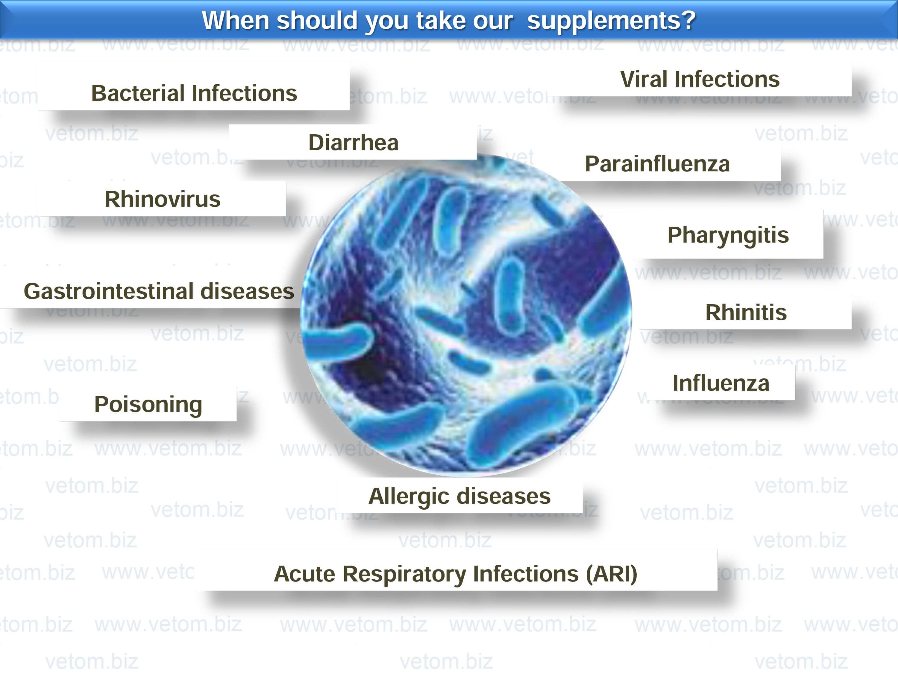 When should you take supplements of the Vetom line?